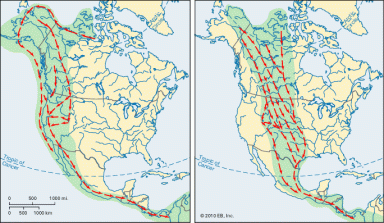 The Pacific (left) and the Central (right) flyways show the migration routes (arrows) followed by different kinds of birds from breeding grounds to winter homes.